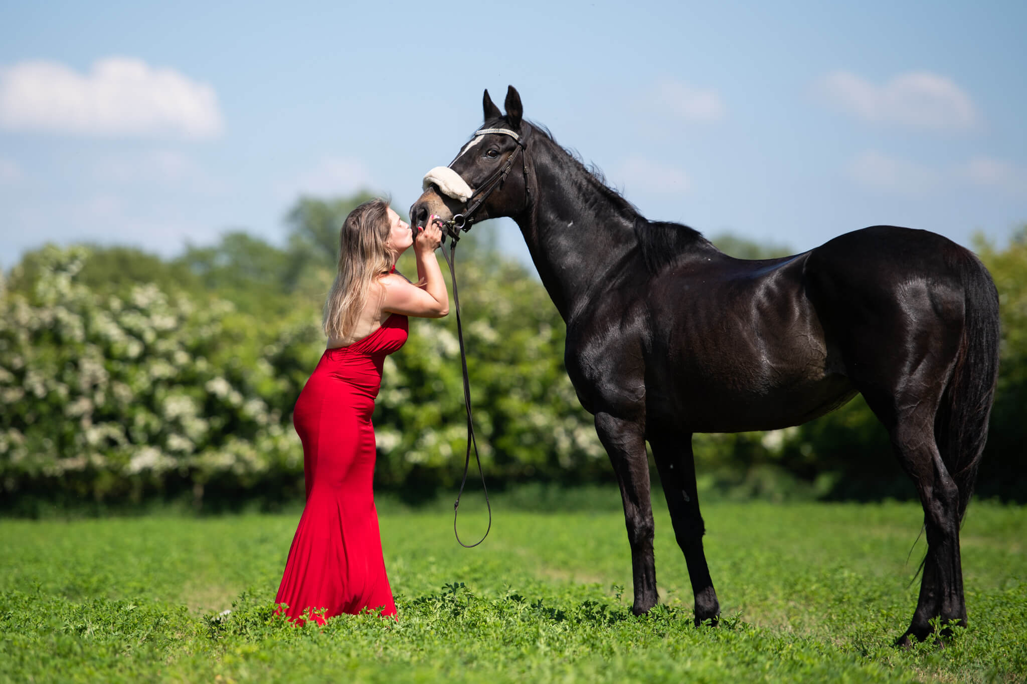 Ex-Racehorse-Photoshoot